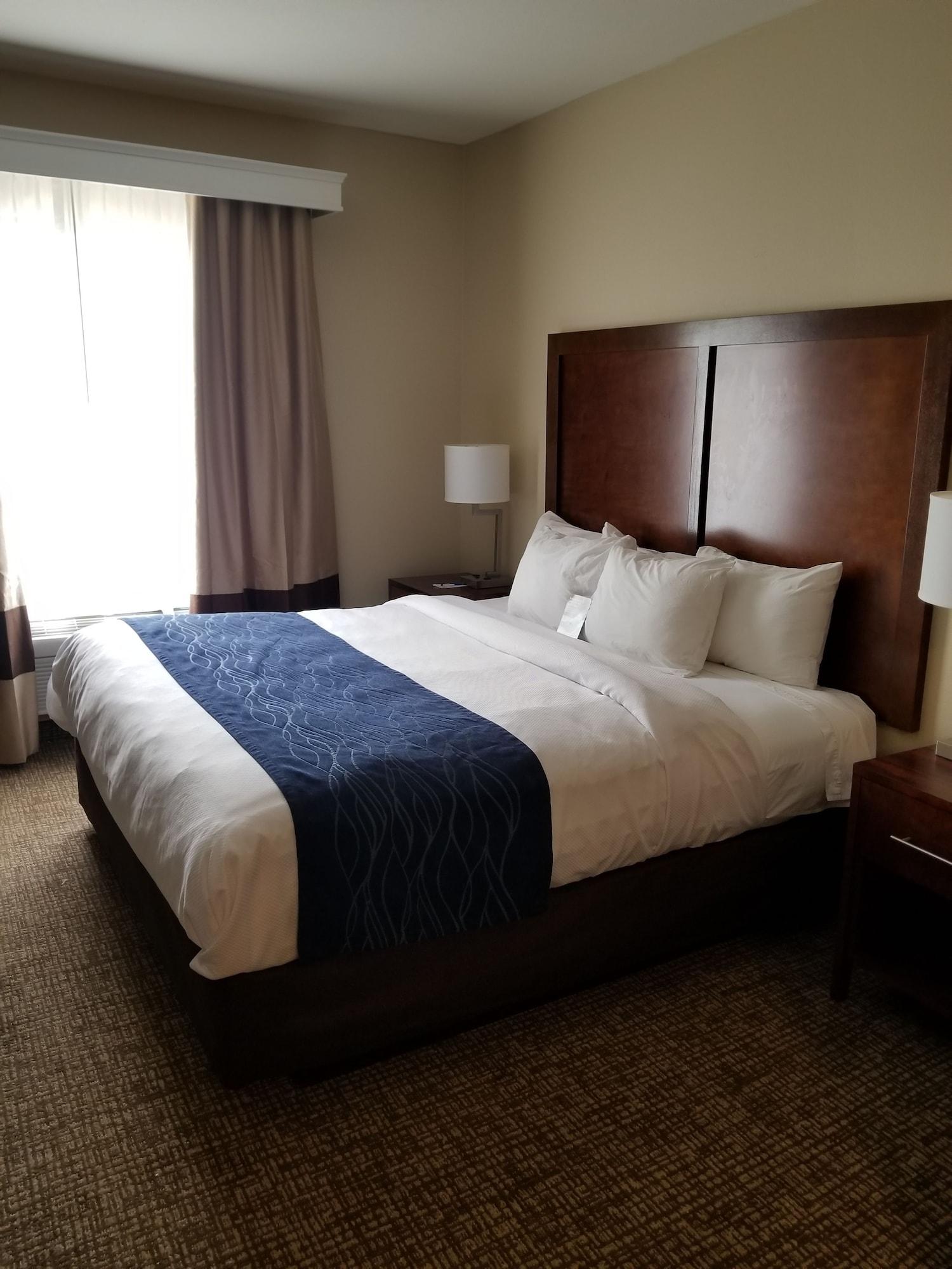 Sonesta Essential - Baton Rouge Airport Hotel Buitenkant foto